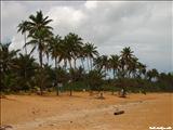 Playa Aviones - LOÍZA